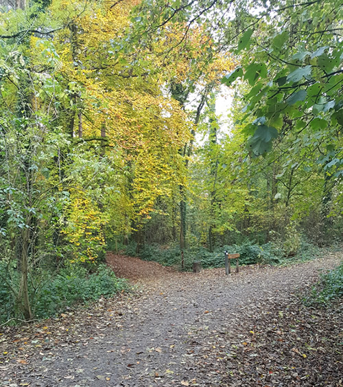 The Haven Group Psychotherapy and Counselling Services Gorey Wexford
